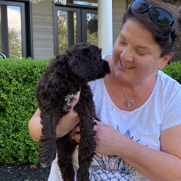 Meet your Posher, Michelle - Picture 2 of 2